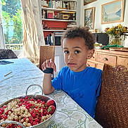 Mircéa participe au concours pour gagner de l'argent avec cette photo : child, blue_shirt, table, bowl, red_currants, white_currants, strawberries, fruit, indoor, dining_room, chair, bookshelf, books, paintings, flower_vase, wooden_furniture, curtains, person, curly_hair, gaze