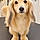 Giuseppe
