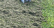 Drake is registered to the contest to win money with this photo: baby, casual_clothing, child, curious, daylight, field, grass, greenery, lawn, mowed_grass, nature, outdoor, park, person, playful, small_child, squatting, summer, toddler, young_child