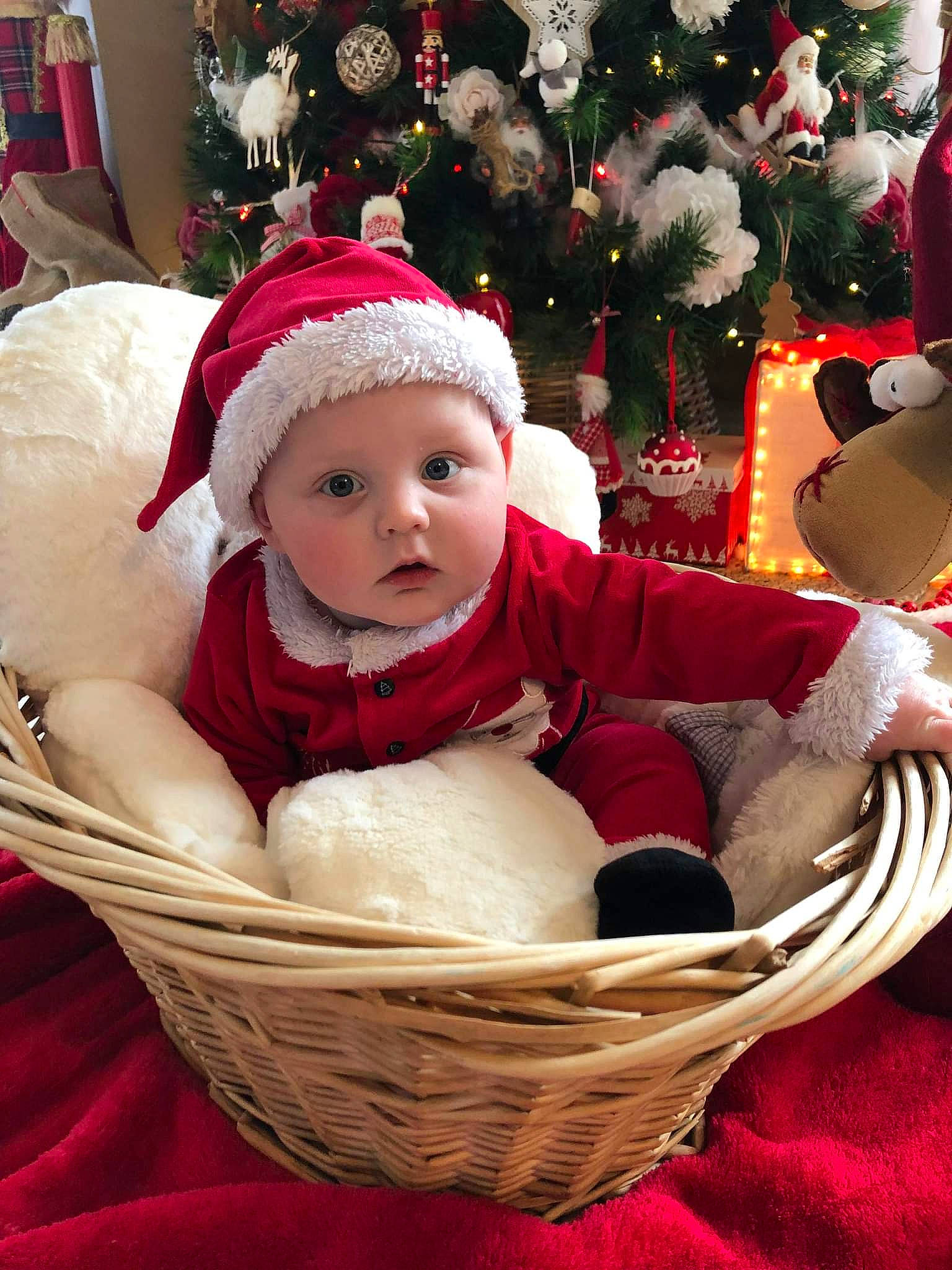 Tomy a rejoint le concours — aidez-le/la à gagner de superbes lots ! baby, baby_toddler_clothing, basket, child, christmas, christmas_decoration, christmas_ornament, christmas_tree, event, eye, facial_expression, happy, headwear, holiday, human_body, lap, ornament, person, red, sitting