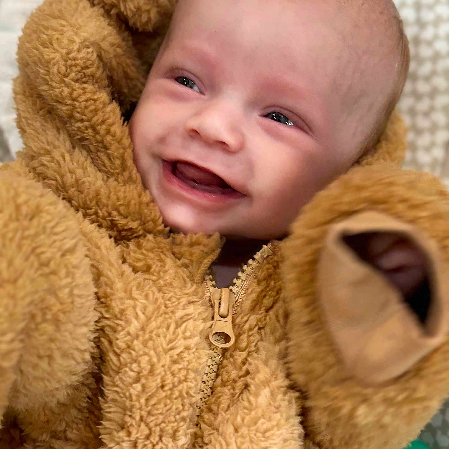 Alaric is registered to the contest to win money with this photo: baby, child, closeup, cute, eyes, face, fuzzy_clothing, happy, head, indoor, infant, mouth, onesie, portrait, skin, smiling, soft_texture, teddy_bear, warm_clothing, zipped_jacket