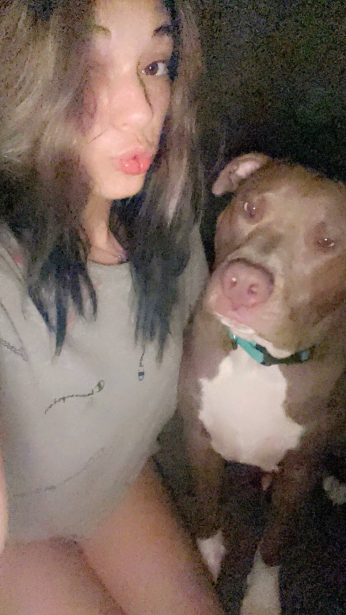 Copper is registered to the contest to win money with this photo: black_hair, cheek, companion_dog, dog, dog_breed, ear, eyebrow, eyelash, fawn, gesture, hair, head, jaw, lip, liver, mouth, neck, nose, organ, skin