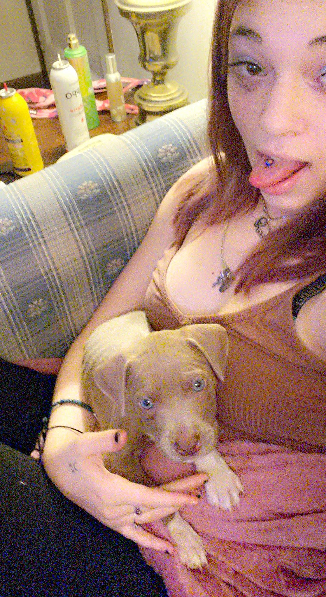 Copper joined the competition — help win amazing prizes! abdomen, brassiere, brown_hair, canidae, carnivore, chest, comfort, companion_dog, dog, dog_breed, eyelash, fawn, human_leg, jewellery, selfie, sporting_group, thigh, toy_dog, trunk, working_animal