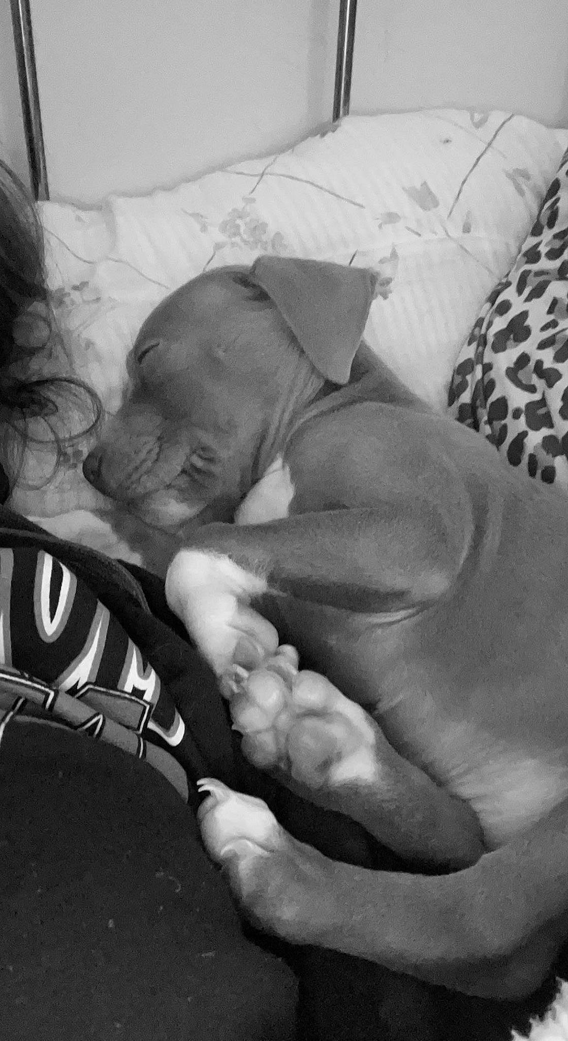 Copper joined the competition — help win amazing prizes! abdomen, art, black_and_white, chest, child, comfort, elbow, finger, gesture, hand, human_body, human_leg, knee, linens, monochrome, monochrome_photography, room, thumb, wrinkle, wrist