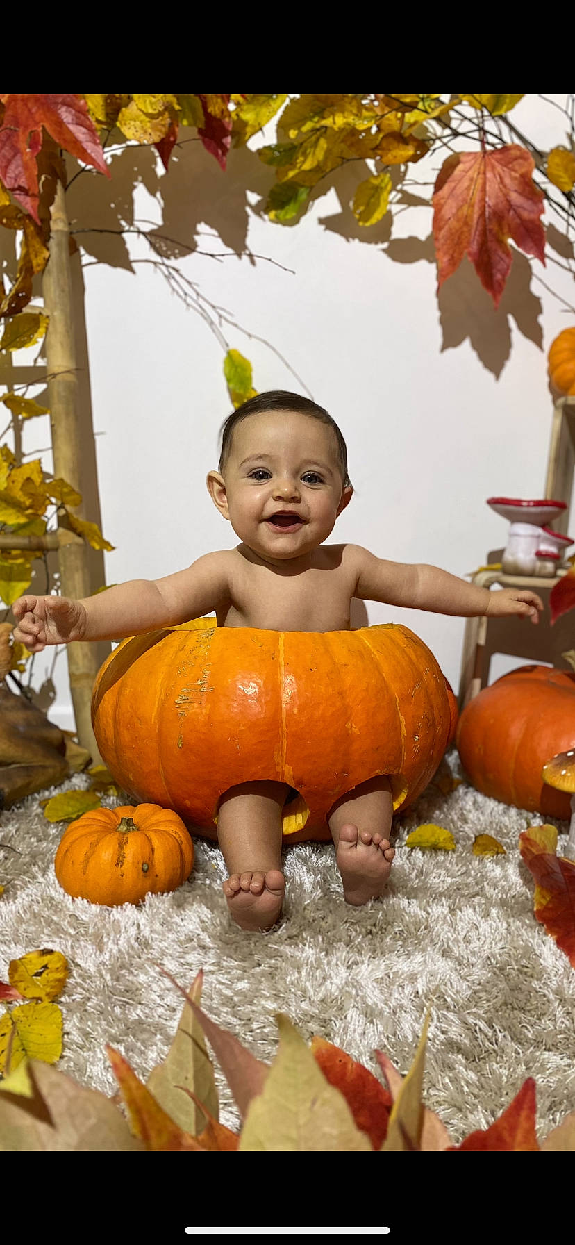 Jade participe au concours pour gagner de l'argent avec cette photo : calabaza, cucurbita, eye, facial_expression, fruit, gourd, happy, human_body, natural_foods, orange, people, person, photograph, plant, pumpkin, shorts, smile, squash, vegetable, winter_squash