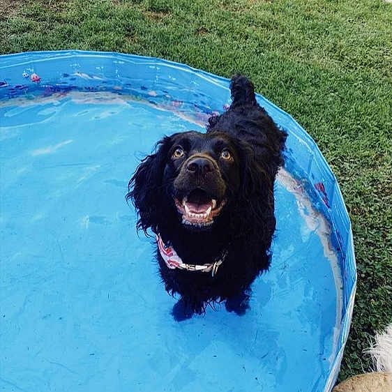 Darby