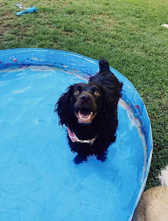 Darby