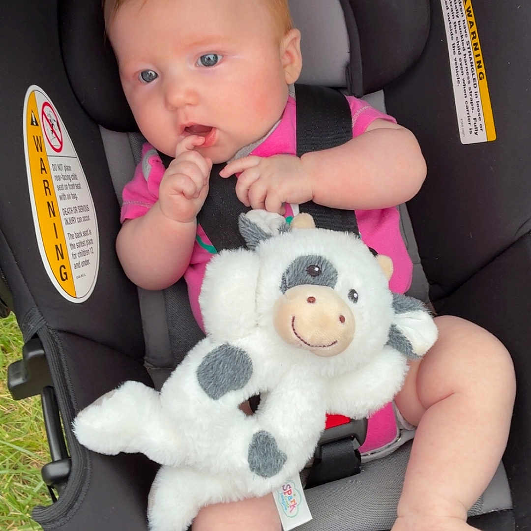 Delilah joined the competition — help win amazing prizes! baby, car_seat, child, cow, curious, cute, face, foot, grass, hand, infancy, infant, outdoor, pink_clothing, plush_toy, portrait, seat_belt, sitting, soft_toy, warning_label