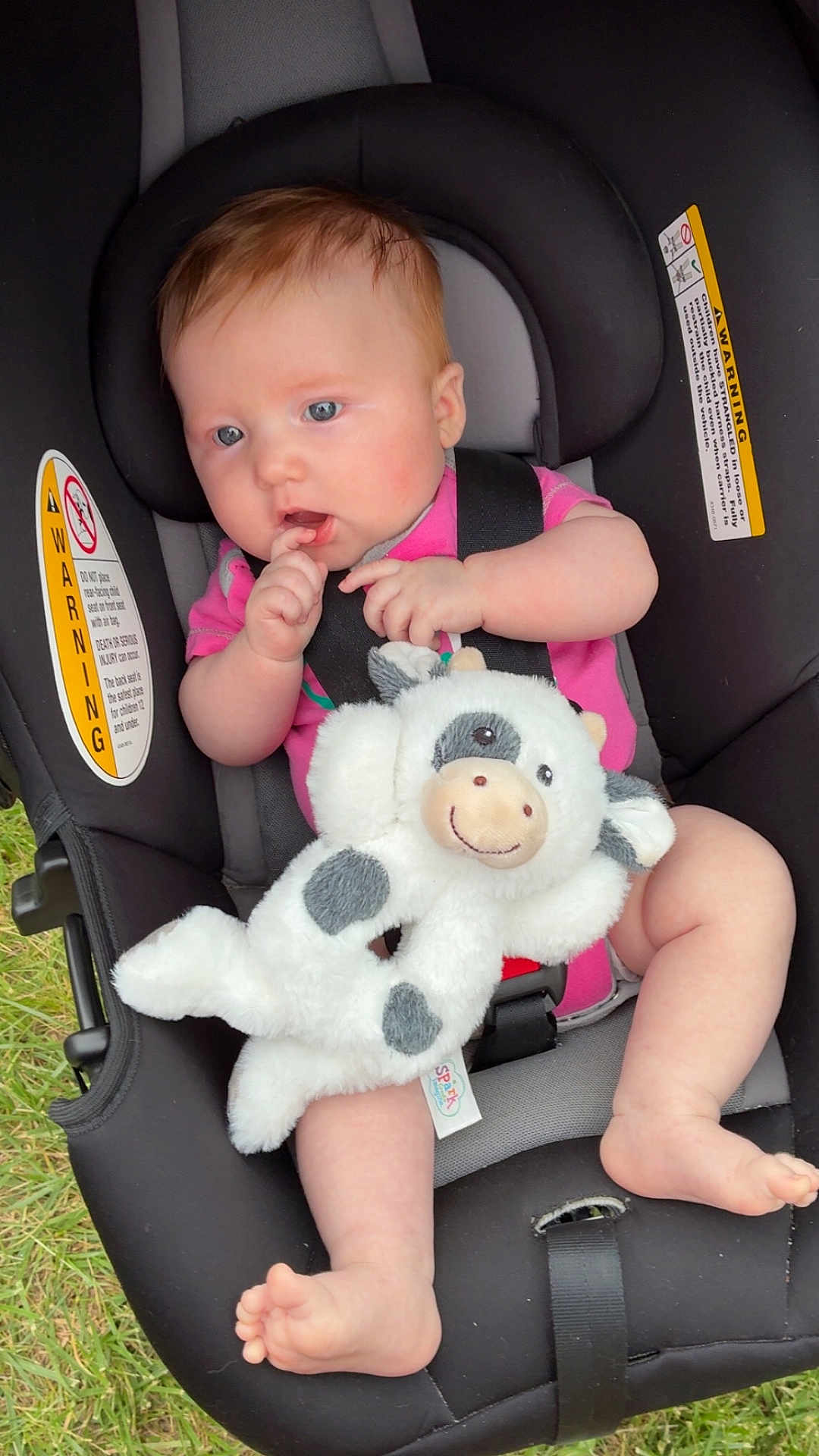Delilah joined the competition — help win amazing prizes! baby, car_seat, plush_toy, cow, pink_clothing, infant, child, outdoor, grass, warning_label, face, hand, foot, soft_toy, seat_belt, cute, portrait, infancy, sitting, curious