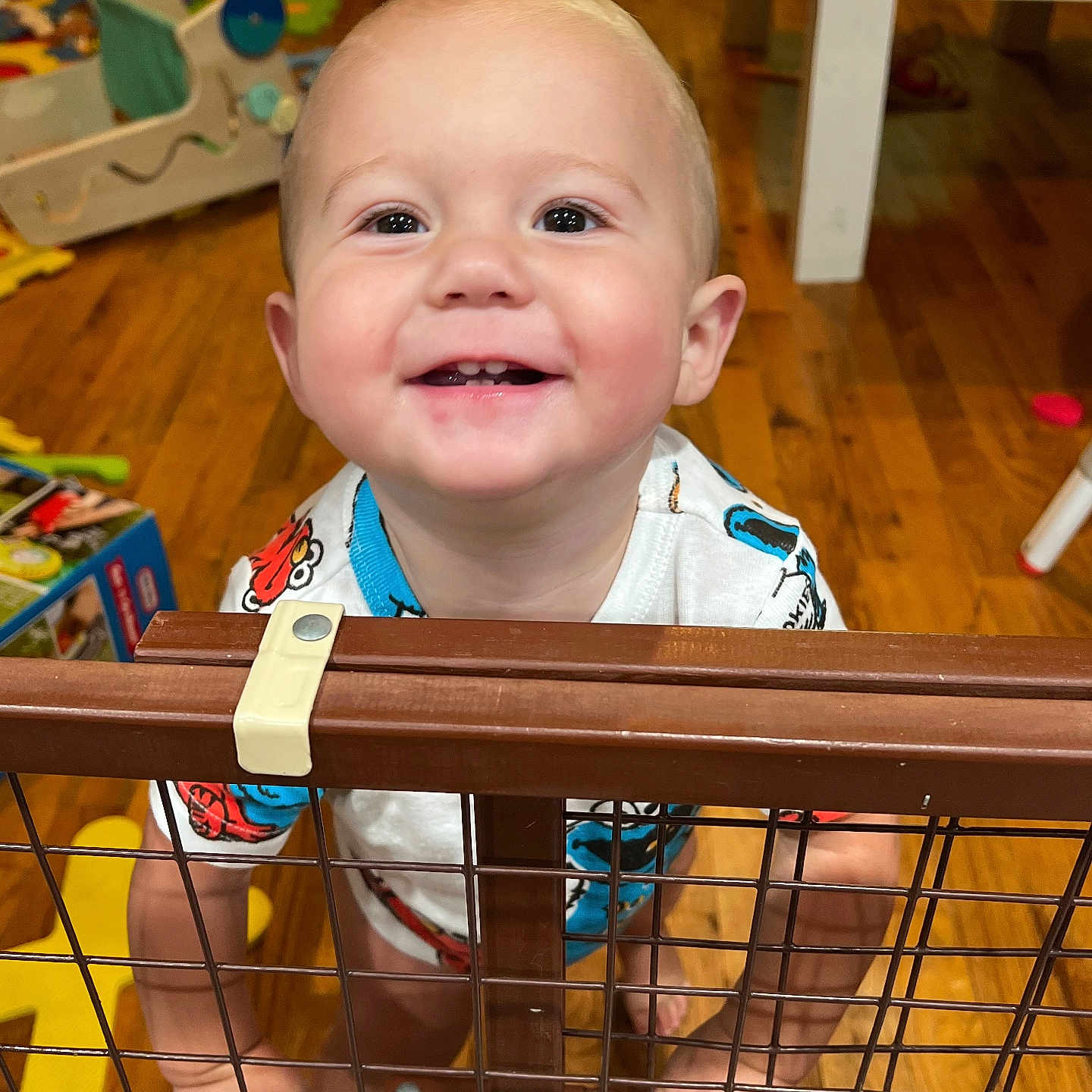 Judd joined the competition — help win amazing prizes! baby, child, clothing, colorful, cute, expression, face, furniture, hands, happy, home, indoor, person, playroom, safety_gate, smiling, standing, toddler, toy, wooden_floor