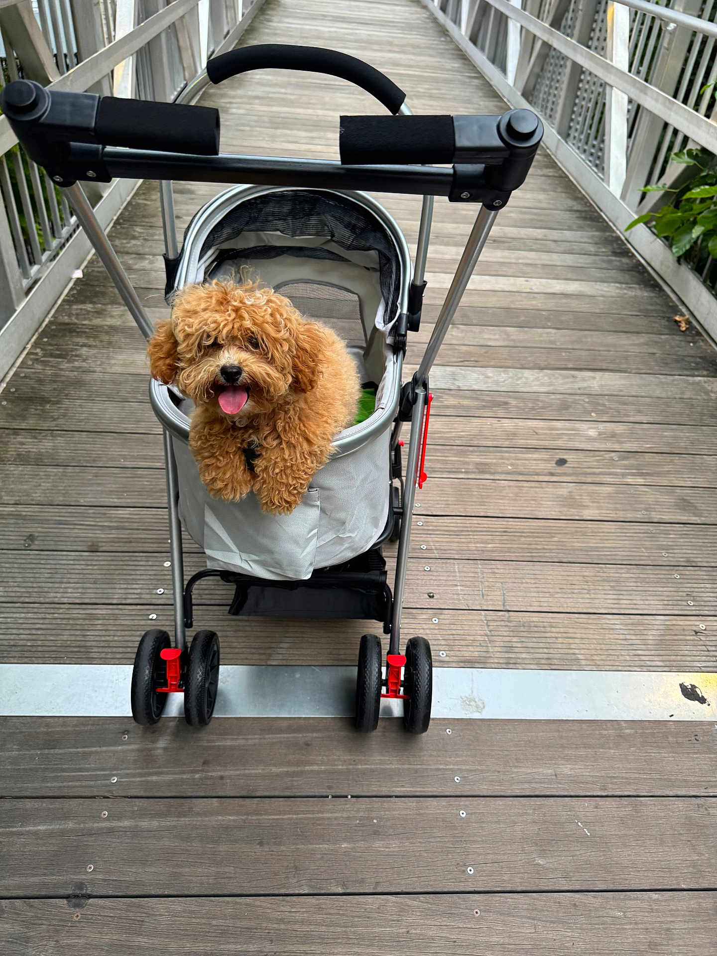 Milo