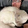 Santa Clause is registered to the contest to win money with this photo: animal, casual, cat, close_up, comfort, companion, cozy, cute, face, fur, glasses, home, indoor, lying_down, person, pet, portrait, relaxed, resting, white_cat