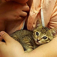 Zinnia joined the competition — help win amazing prizes!