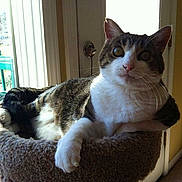 Lily Love is registered to the contest to win money with this photo: