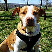 Honey joined the competition — help win amazing prizes!