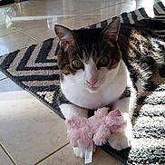 Lily is registered to the contest to win money with this photo: