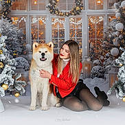 Tamaki a rejoint le concours — aidez-le/la à gagner de superbes lots ! woman, dog, akita, christmas_tree, ornaments, winter, snow, holiday, festive, red_jacket, black_skirt, tights, boots, smiling, indoor, decorations, lights, celebration, portrait, seasonal
