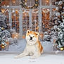akita, dog, snow, winter, christmas_tree, ornaments, golden_baubles, festive, holiday, decorations, frosted_trees, snowfall, cozy, warm_lighting, indoor, portrait, animal, pet, relaxed, seasonal