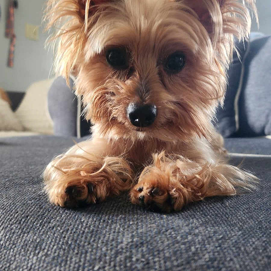 Winni