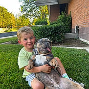 Peanut is registered to the contest to win money with this photo: boy, dog, grass, outdoor, child, pet, happy, smiling, french_bulldog, greenery, brick_wall, leash, casual_clothing, nature, sunlight, playing, tongue_out, cute, summer, yard