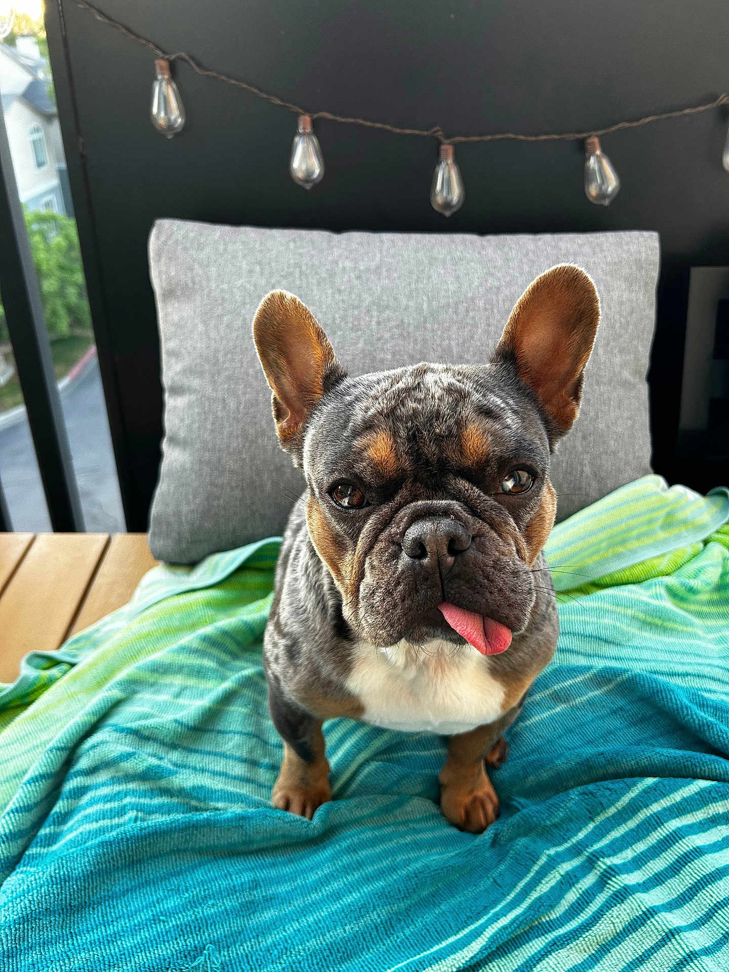 Peanut
