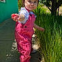 toddler, child, pink_overalls, white_shoes, pigtails, outdoor, grass, sidewalk, sunlight, shadow, tree, greenery, building, window, curious, person, nature, daylight, portrait, garden