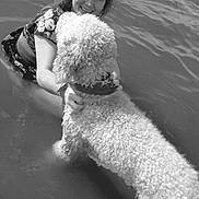 Simba Lee is registered to the contest to win money with this photo: woman, dog, water, hugging, curly_hair, smiling, outdoor, pet, lake, playful, black_and_white, happy, fur, collar, summer, nature, friendship, wet, portrait, fun