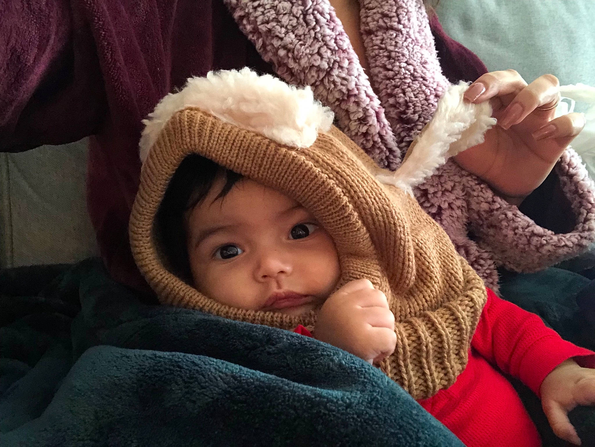 Apollo joined the competition — help win amazing prizes! beanie, bonnet, cap, child, crochet, ear, eye, girl, headgear, infant, knit_cap, knitting, nose, person, product, skin, toddler, wool