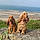 Praline Et Tessa