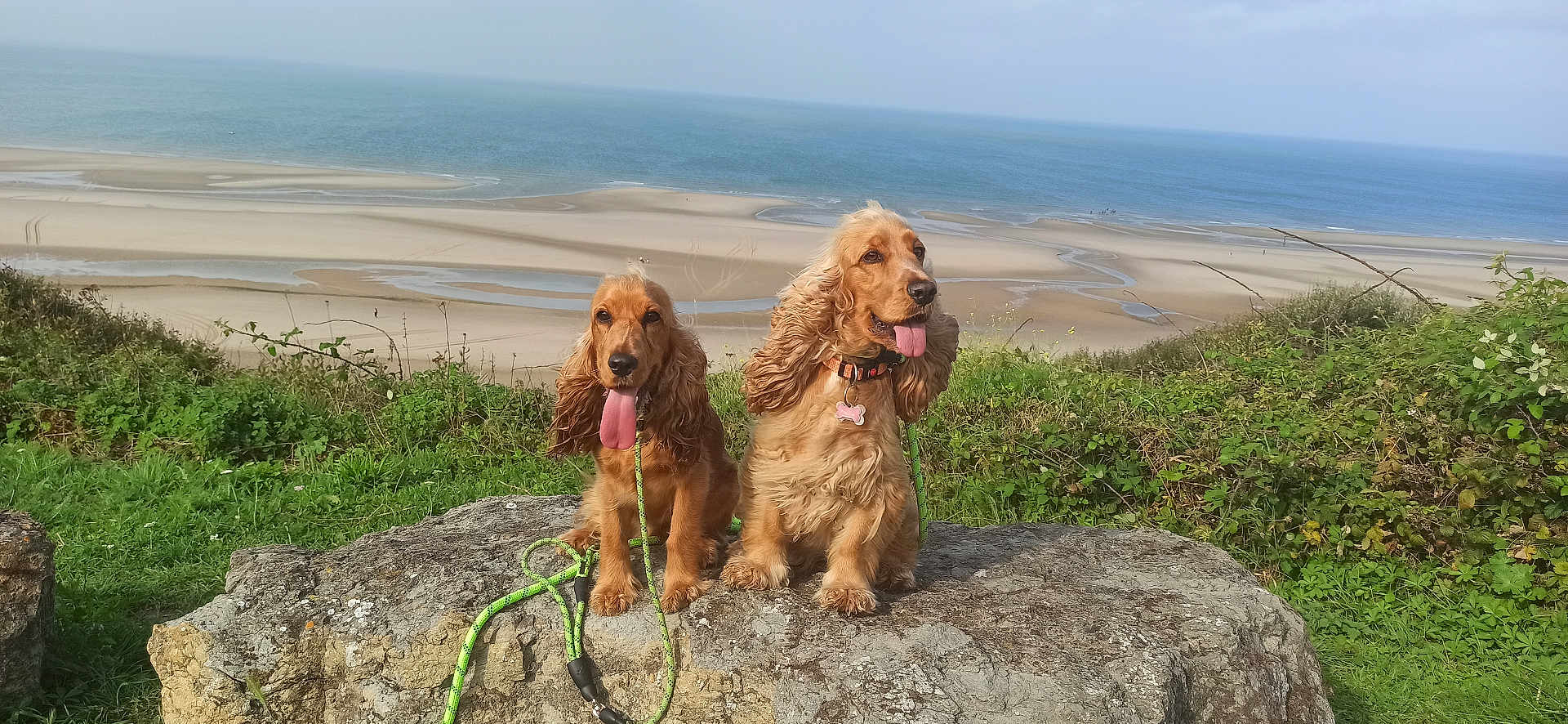 Praline Et Tessa