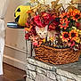 cat, kitten, basket, autumn_leaves, flowers, pumpkin, indoor, stone, decoration, orange_cat, fall, home, cozy, curious, pet, cute, plant, wood_floor, table, leaf