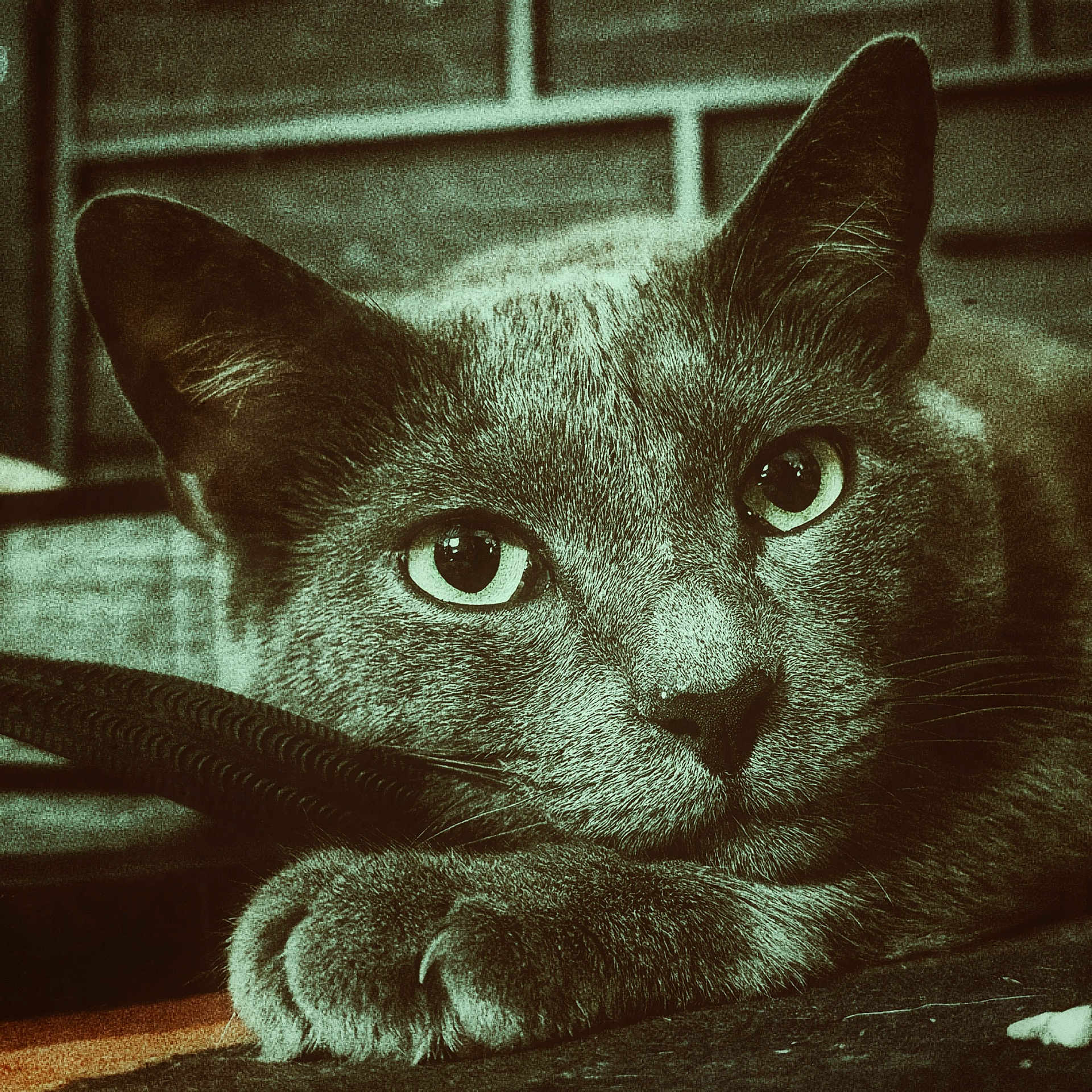 Jerry