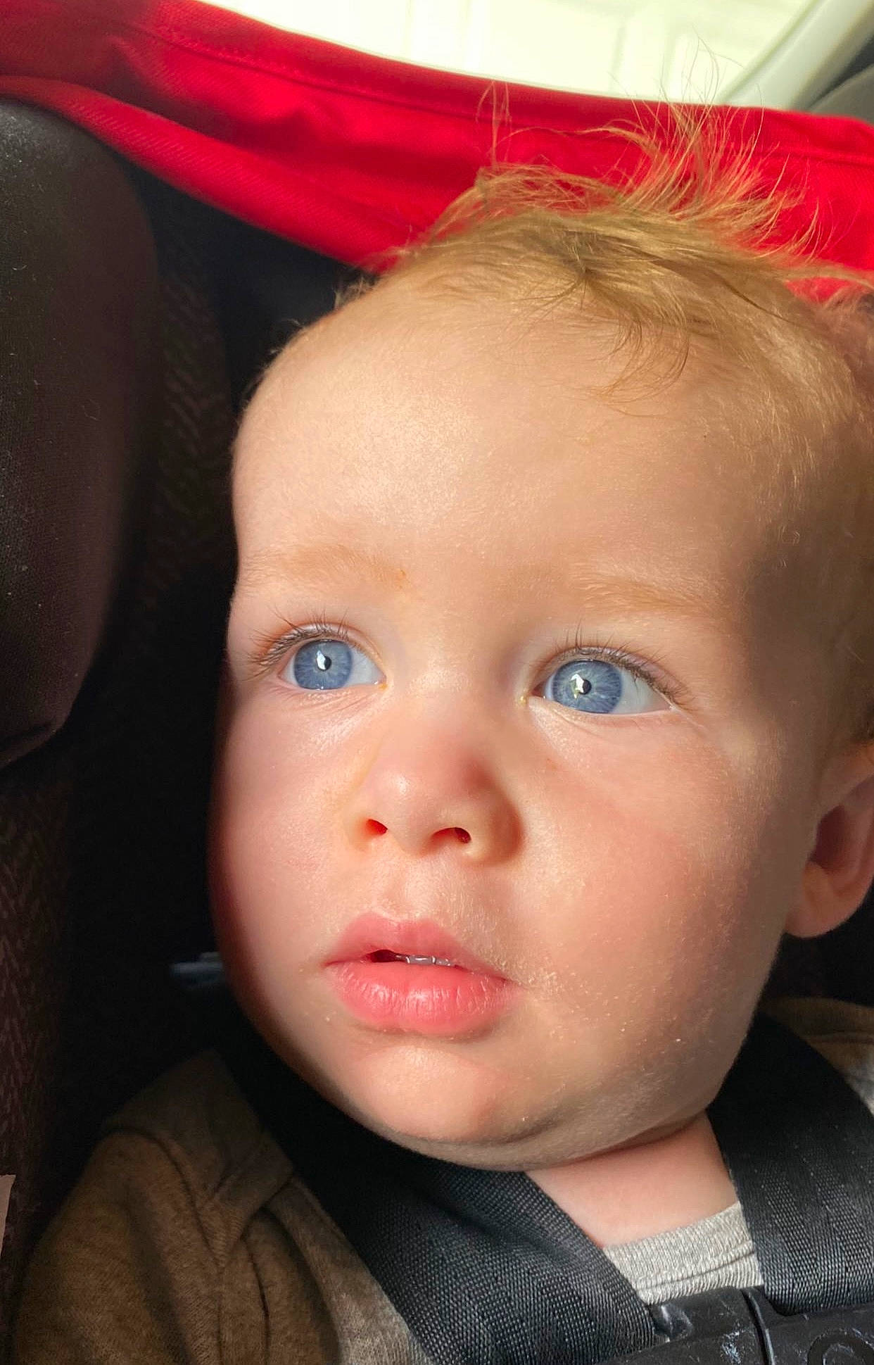 Beckham joined the competition — help win amazing prizes! baby, cheek, child, ear, eyebrow, eyelash, face, flash_photography, forehead, fun, hair, hairstyle, iris, jaw, lip, mouth, no_expression, nose, person, skin