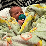 Rory joined the competition — help win amazing prizes! newborn, baby, pacifier, blanket, sleeping, cozy, zebra_pattern, pink_blanket, floral_pattern, infant, wrapped, cute, resting, soft_texture, child, indoor, portrait, closeup, peaceful, tiny