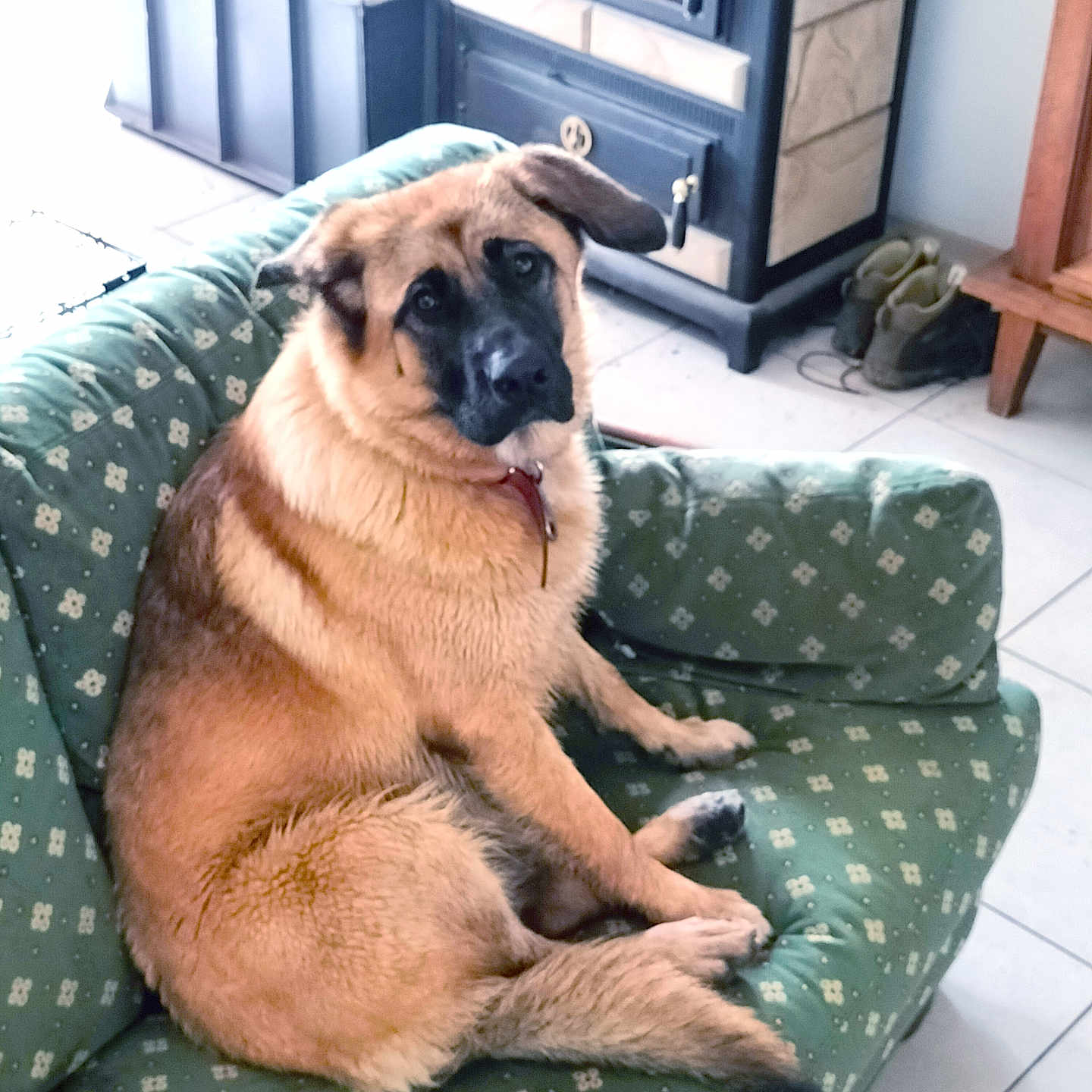 Bella
