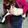 person, cat, indoor, holding, siamese_cat, pink_jacket, blue_pants, tile_floor, feline, pet, animal, home, casual_clothing, long_hair, hand, grip, white_black_brown_cat, relaxed_cat, standing, footwear