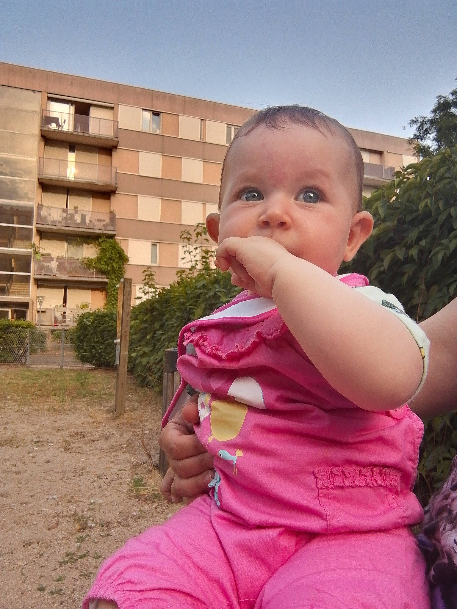 Amel a rejoint le concours — aidez-le/la à gagner de superbes lots ! arm, baby, cheek, child, eye, face, finger, fun, hand, joint, lip, nose, person, pink, play, shoulder, skin, smile, summer, toddler