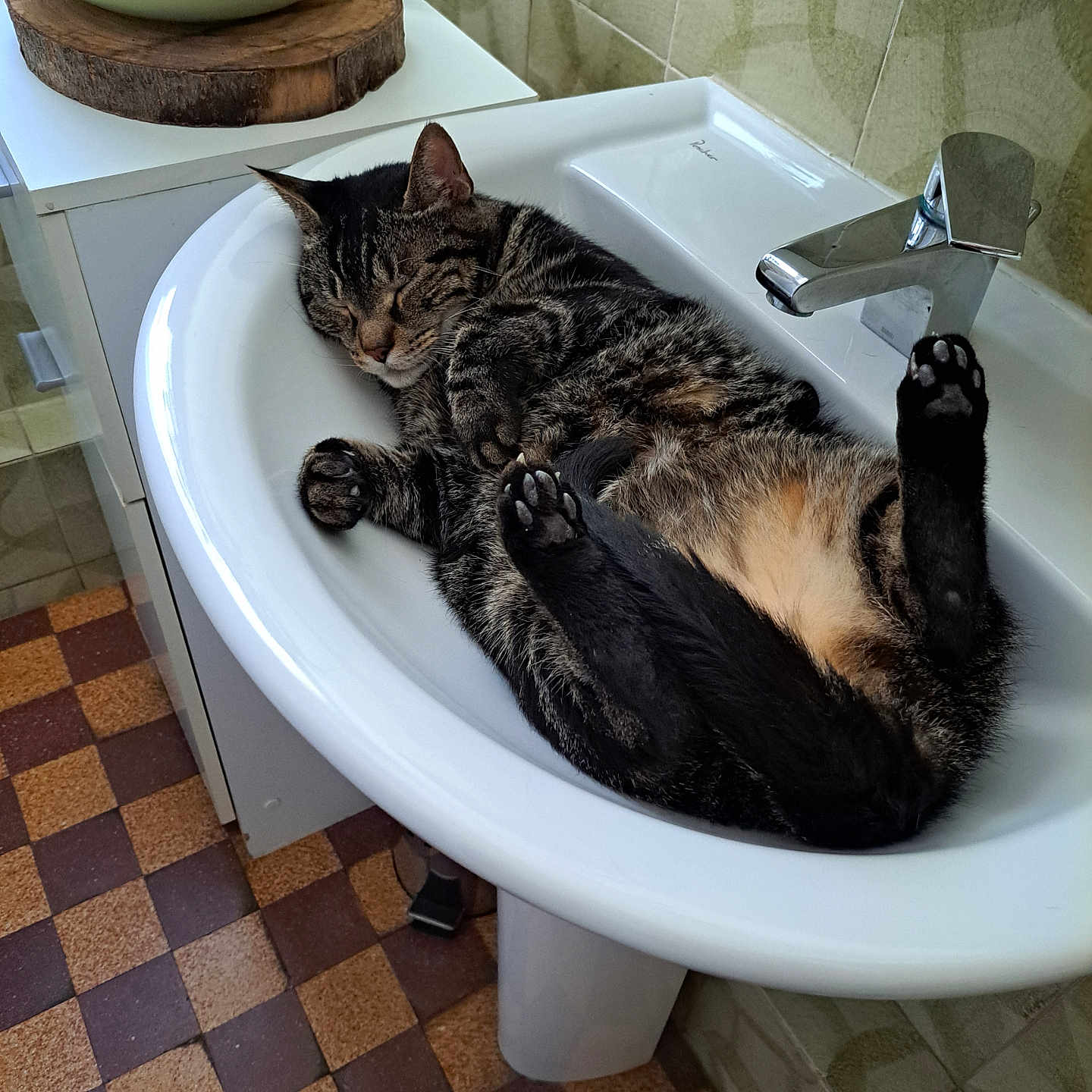 Corinne Perniceni a rejoint le concours — aidez-le/la à gagner de superbes lots ! animal, bathroom, cat, cozy, cute, domestic_cat, faucet, fur, indoor, paw, peaceful, pet, quiet, relaxed, resting, sink, sleeping, tabby, tile_floor, whiskers