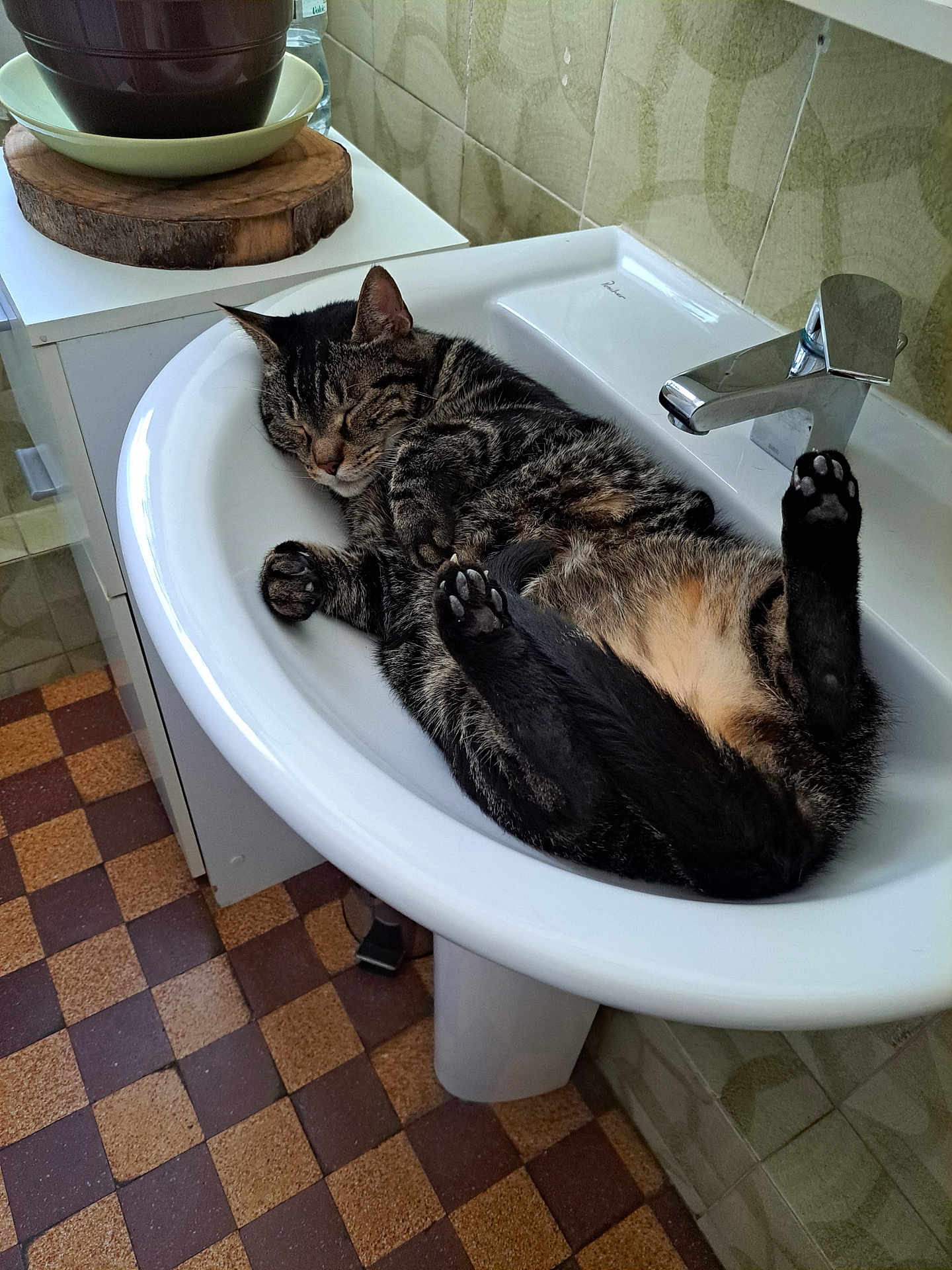 Corinne Perniceni a rejoint le concours — aidez-le/la à gagner de superbes lots ! animal, bathroom, cat, cozy, cute, domestic_cat, faucet, fur, indoor, paw, peaceful, pet, quiet, relaxed, resting, sink, sleeping, tabby, tile_floor, whiskers