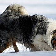 Gofast a rejoint le concours — aidez-le/la à gagner de superbes lots !