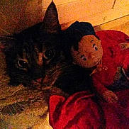 Casse-bonbon a rejoint le concours — aidez-le/la à gagner de superbes lots !