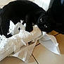 black_cat, cat, paper_towel, torn_paper, playful, indoor, floor_tiles, pet, animal, mess, curious, paw, clawing, household, domestic_cat, cute, feline, fur, whiskers, eyes