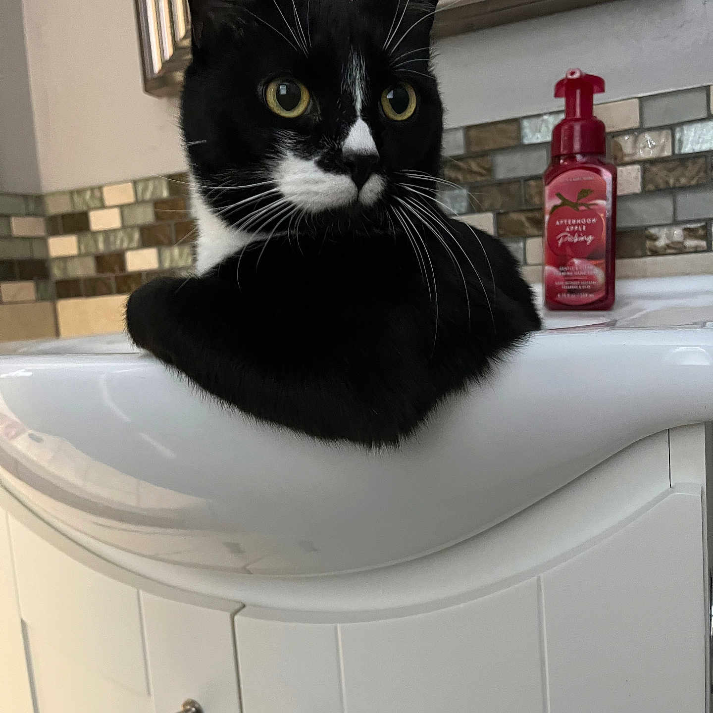 Dott is registered to the contest to win money with this photo: animal, bathroom, black_and_white, cabinet, cat, curious, domestic, ears, feline, home, indoor, mirror, pet, relaxed, sink, soap_dispenser, tile, tuxedo_cat, whiskers, yellow_eyes