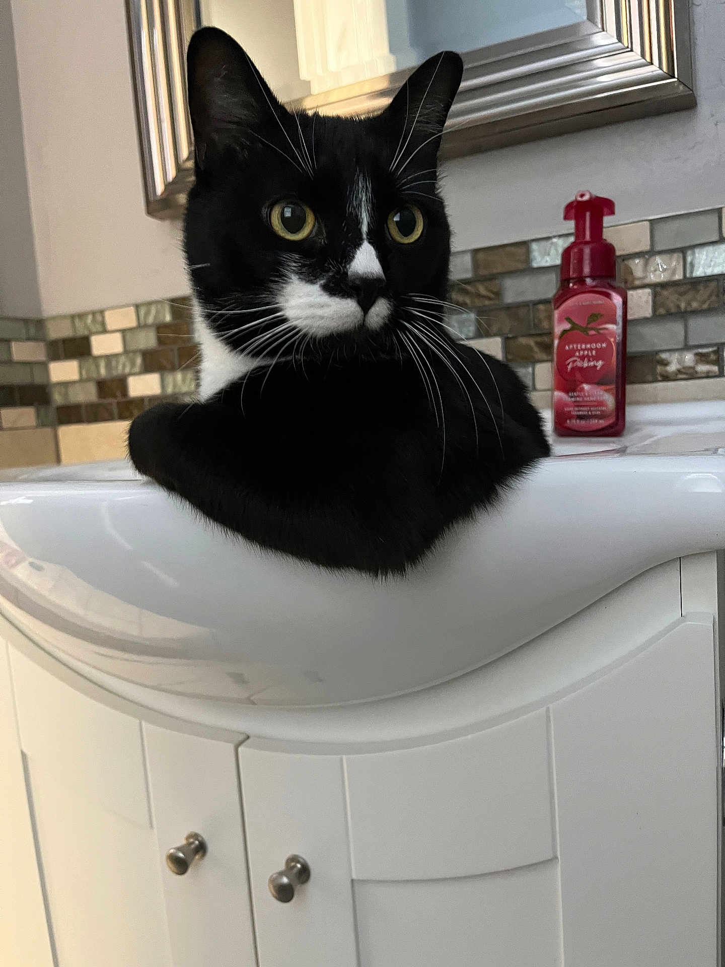 Dott is registered to the contest to win money with this photo: animal, bathroom, black_and_white, cabinet, cat, curious, domestic, ears, feline, home, indoor, mirror, pet, relaxed, sink, soap_dispenser, tile, tuxedo_cat, whiskers, yellow_eyes
