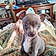 Bently