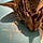 Tigre