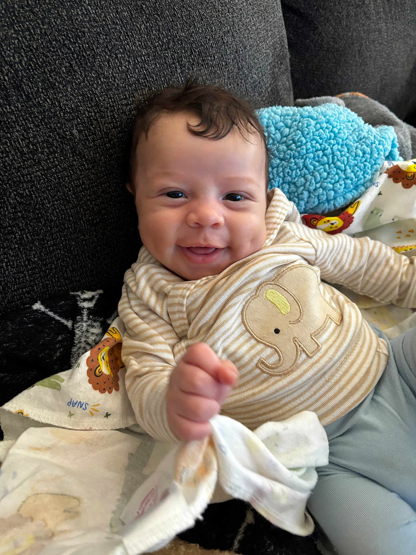 Peyton is registered to the contest to win money with this photo: baby, smile, infant, striped_clothing, elephant_patch, couch, blanket, fabric, hand, face, cute, happy, child, indoors, soft_toy, blue_blanket, person, portrait, cozy, texture