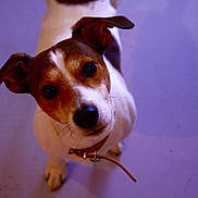 Track participe au concours pour gagner de l'argent avec cette photo :
