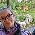 Andreia D. S.