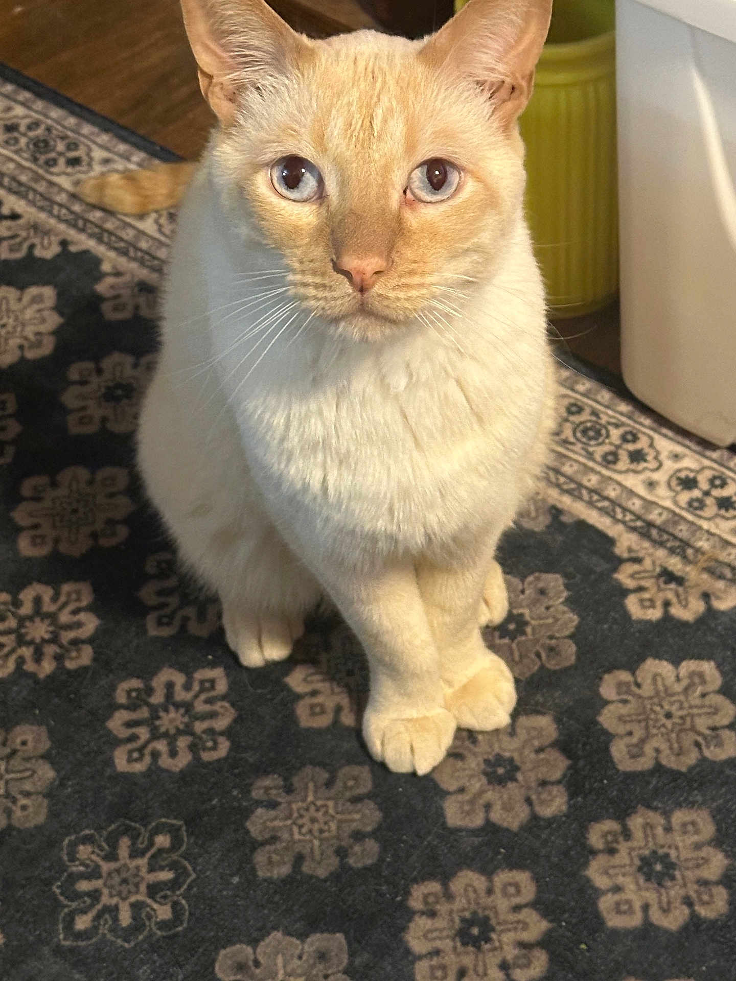 Casper